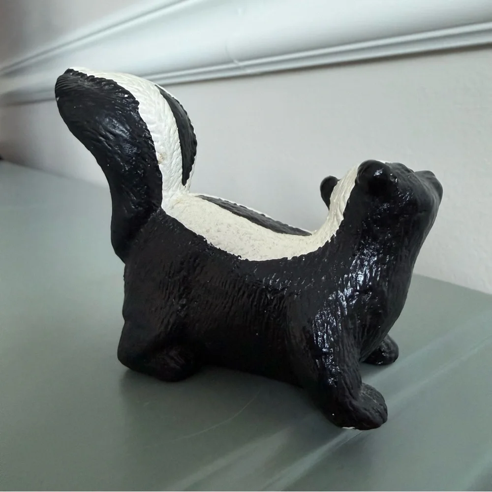 Cute skunk